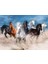 Blue Focus 1000 Parça Puzzle - Horses ( Atlar ) 2