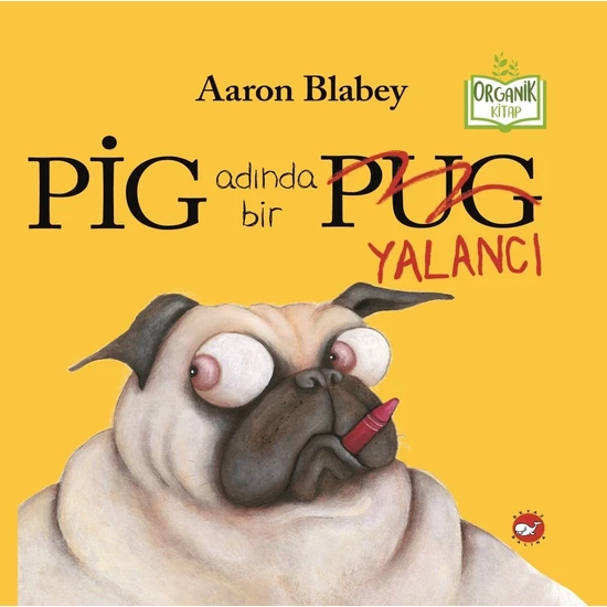 Pig Adında Bir Yalancı - Aaron Blabey