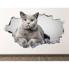 Kt Grup Sevimli Kedicikler Full Hd Baskı 3D Çocuk Odası Duvar Sticker