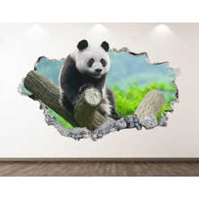 Kt Grup Vahşi Doğa Muhteşem Hayvanlar Full Hd Baskı 3D Modern Duvar Sticker