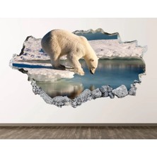 Kt Grup Vahşi Doğa Muhteşem Hayvanlar Full Hd Baskı 3D Modern Duvar Sticker