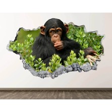 Kt Grup Vahşi Doğa Muhteşem Hayvanlar Full Hd Baskı 3D Modern Duvar Sticker