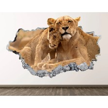 Kt Grup Vahşi Doğa Muhteşem Hayvanlar Full Hd Baskı 3D Modern Duvar Sticker