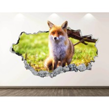 Kt Grup Vahşi Doğa Muhteşem Hayvanlar Full Hd Baskı 3D Modern Duvar Sticker