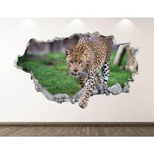 Kt Grup Vahşi Yaşam Muhteşem Hayvanlar Full Hd Baskı 3D Modern Duvar Sticker