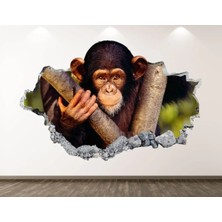 Kt Grup Vahşi Yaşam Muhteşem Hayvanlar Full Hd Baskı 3D Modern Duvar Sticker