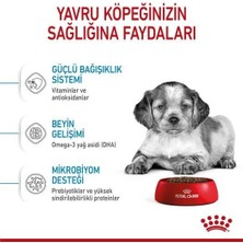 Royal Canin Medium Puppy Orta Irk Yavru Köpek Mamasi 15 kg