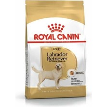 Royal Canin Labrador Retriever Köpek Maması 12 kg