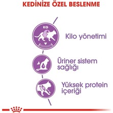 Royal Canin Sterilised 37 Kisirlaştirilmiş Kedi Mamasi 4 kg