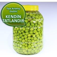 Zeytunca Kendin Tatlandır Ham Yeşil Zeytin Küçük Çekirdekli 3 kg