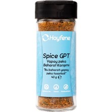 Hayfene Spice Gpt - Yapay Zeka Baharat Karışımı 40 gr