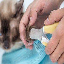 Kedi Temizleme ve Bakım Çantası, Banyo Sabit Çantası, Kedi Yıkama Torbası, Banyo Tırnak Kesme ve Enjeksiyonu (Yurt Dışından)