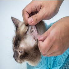 Kedi Temizleme ve Bakım Çantası, Banyo Sabit Çantası, Kedi Yıkama Torbası, Banyo Tırnak Kesme ve Enjeksiyonu (Yurt Dışından)