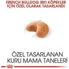 Royal Canin French Bulldog Yetişkin Köpek Maması 3 kg