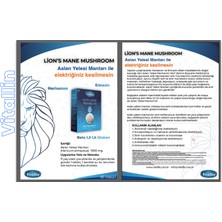 Vitallin Aslan Yelesi Mantarı 1000 mg 60 Tablet Lion's Mane Mushroom 1000 mg 60 Tablet