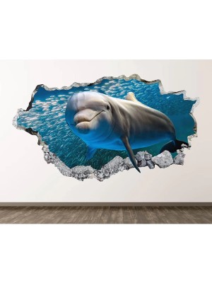 Kt Grup Yunus Balıkları Full Hd 3D Sticker Kaplama