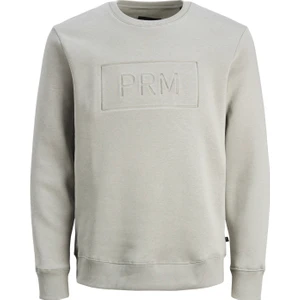 Jack & Jones Bisiklet Yaka Gri Erkek Sweatshırt 12241106_JPRBLABLAKE Sweat Crew Nec