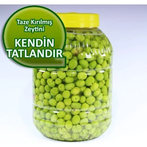 Kendin Tatlandır Ham Yeşil Zeytin Küçük Çekirdekli 3 kg