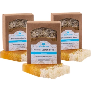 The Soap Factory Doğal Kabak Lifi Hindistan Cevizi Sabunu 120 g x 3 Adet (Toplam 360 g) - Vegan - Lüks - Çevre Dostu - Bütün Cilt Tipleri İçin Uygun - Üstün Cilt Bakımı - Bitkisel