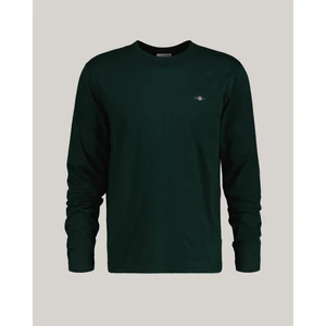 Erkek Yeşil Regular Fit Bisiklet Yaka T-Shirt 2004049.374