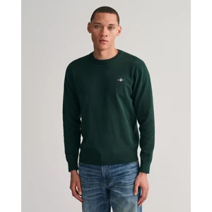 Erkek Yeşil Regular Fit Bisiklet Yaka Kazak 8030561.374