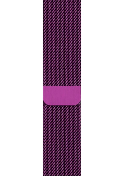 Watch 2 3 4 5 6 7 8 9 Se 38 40 41MM Uyumlu Milano Çelik Kordon Galibarda