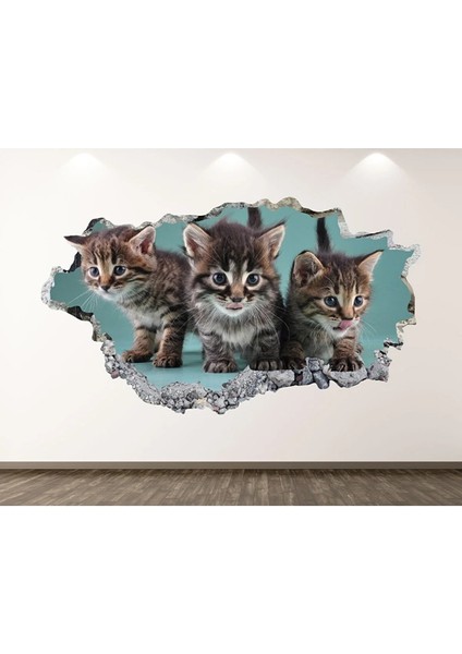Sevimli Kedicikler Full Hd Baskı 3D Çocuk Odası Duvar Sticker