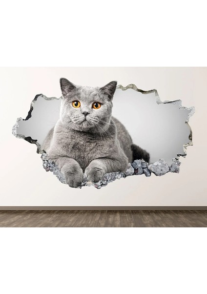 Sevimli Kedicikler Full Hd Baskı 3D Çocuk Odası Duvar Sticker