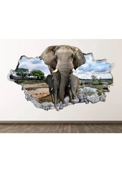 Vahşi Doğa Muhteşem Hayvanlar Full Hd Baskı 3D Modern Duvar Sticker