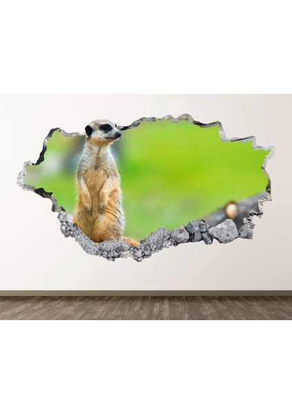 Vahşi Yaşam Muhteşem Hayvanlar Full Hd Baskı 3D Modern Duvar Sticker
