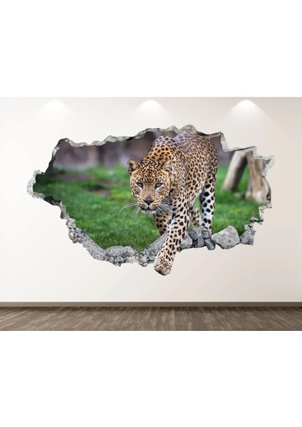 Vahşi Yaşam Muhteşem Hayvanlar Full Hd Baskı 3D Modern Duvar Sticker