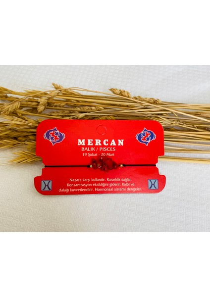 Doğal Taşlı Burç Bilekliği