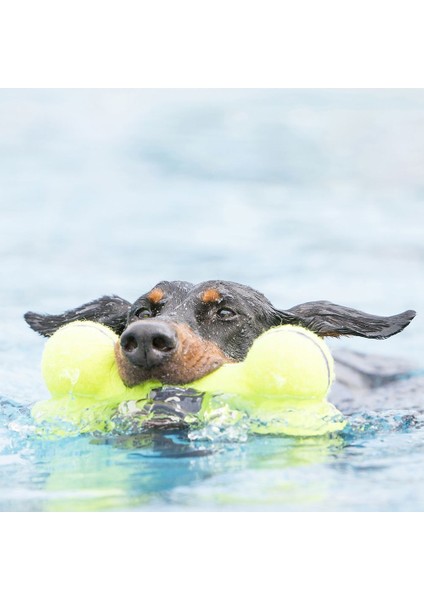 Köpek Air Sq Sesli Oyuncak Kemik L 23 cm