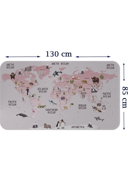 Eğitici Dünya Haritası Dünya Atlası Çocuk ve Bebek Odası Duvar Sticker 3798 x L