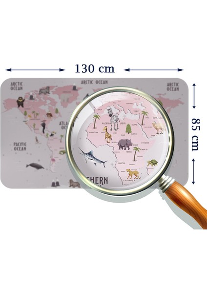 Eğitici Dünya Haritası Dünya Atlası Çocuk ve Bebek Odası Duvar Sticker 3798 x L
