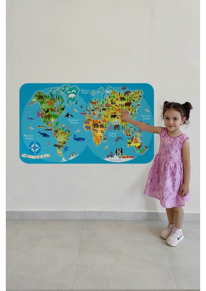 Eğitici Dünya Haritası Dünya Atlası Çocuk ve Bebek Odası Duvar Sticker 3805 x L
