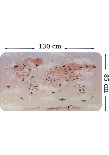 Eğitici Dünya Haritası Dünya Atlası Çocuk ve Bebek Odası Duvar Sticker 3799 x L