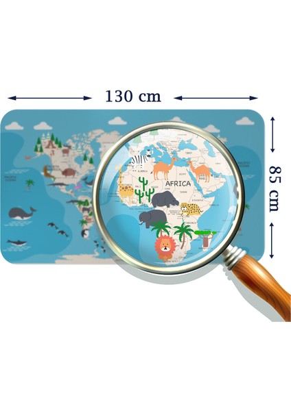 Eğitici Dünya Haritası Dünya Atlası Çocuk ve Bebek Odası Duvar Sticker 3802 x L