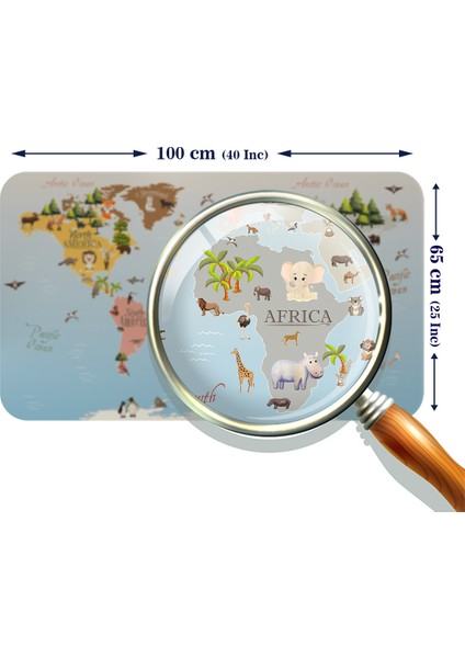 Eğitici Dünya Haritası Dünya Atlası Çocuk ve Bebek Odası Duvar Sticker