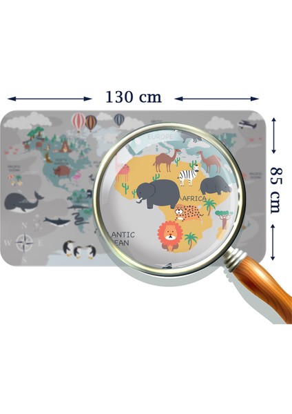 Eğitici Dünya Haritası Dünya Atlası Çocuk ve Bebek Odası Duvar Sticker 3821 x L