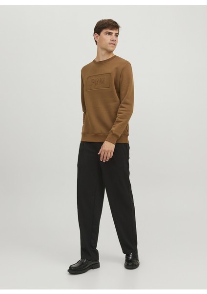Bisiklet Yaka Kahve Erkek Sweatshırt 12241106_JPRBLABLAKE Sweat Crew Nec