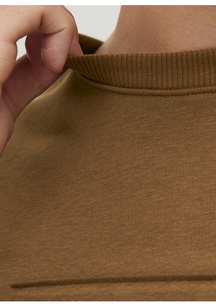 Bisiklet Yaka Kahve Erkek Sweatshırt 12241106_JPRBLABLAKE Sweat Crew Nec