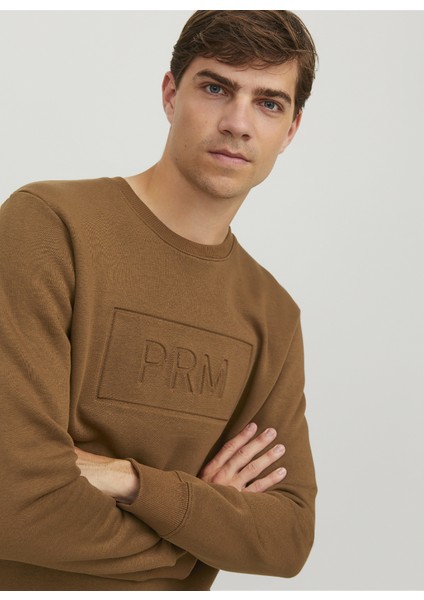 Bisiklet Yaka Kahve Erkek Sweatshırt 12241106_JPRBLABLAKE Sweat Crew Nec modelleri