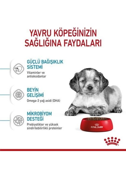 Medium Puppy Orta Irk Yavru Köpek Mamasi 15 kg