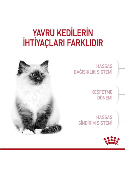 Kitten Yavru Kedi Maması 2 kg