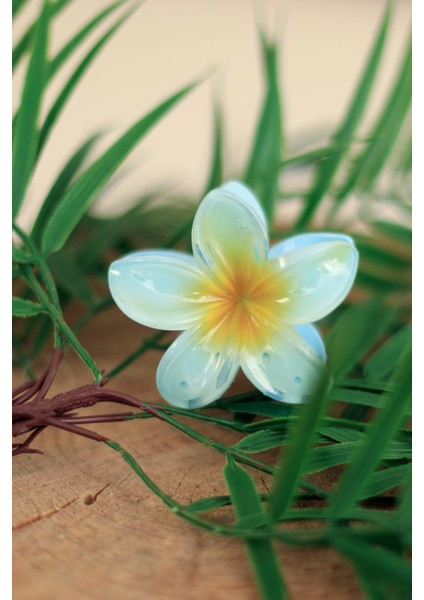 Maygiy Lotus Çiçeği Tokası 8cm modelleri