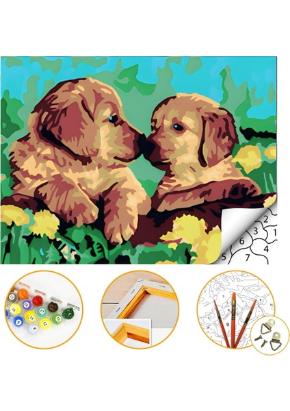 Şirin Köpekler - Sayılarla Boyama Seti Kasnağa Gerili 40X50CM Boyalar ve Fırçalar Dahil