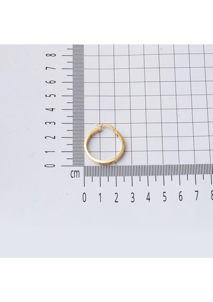 Kartiyer 14 Ayar Altın 3 Cm. Çaplı Halka Küpe indirimleri