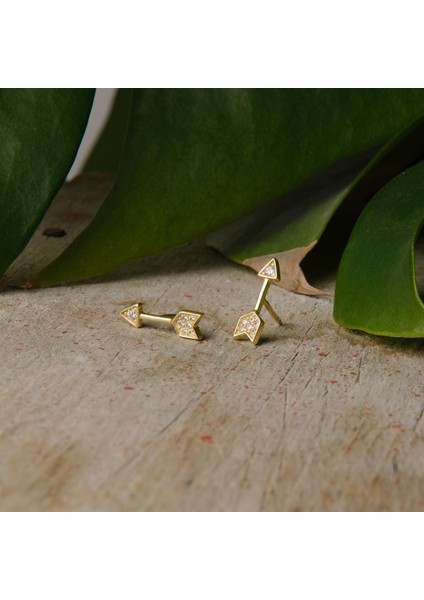 14K Altın Aşk Oku Küpe fırsatları