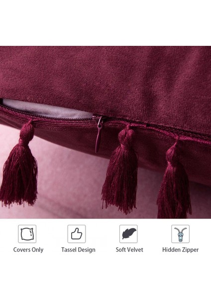 2'li Paket Kadife Yumuşak Katı Dekoratif Kırlent Örtüsü Püsküllü Saçak Boho Vurgulu Yastık Kılıfı Kanepe Çekyat (20 x 20 Inç, Bordo) (Yurt Dışından)